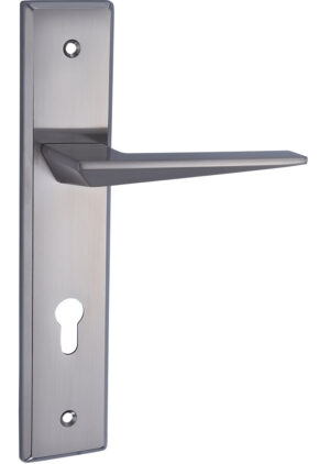 DSC00461 Serrure avec poignée de luxe DLZ1010 – Élégance, sécurité et finitions haut de gamme