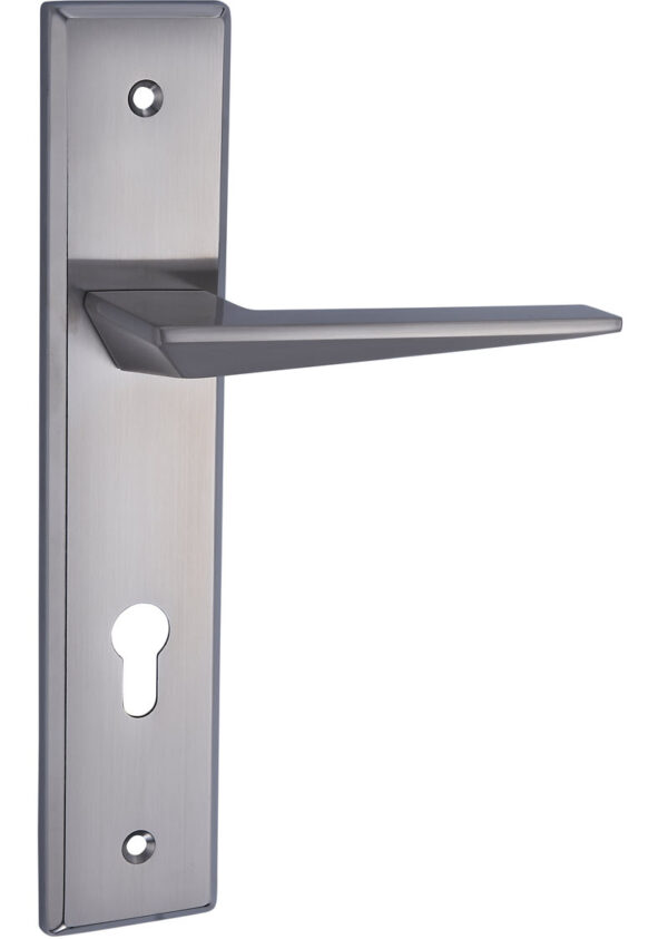 Serrure avec poignée de luxe DLZ1010 – Élégance, sécurité et finitions haut de gamme